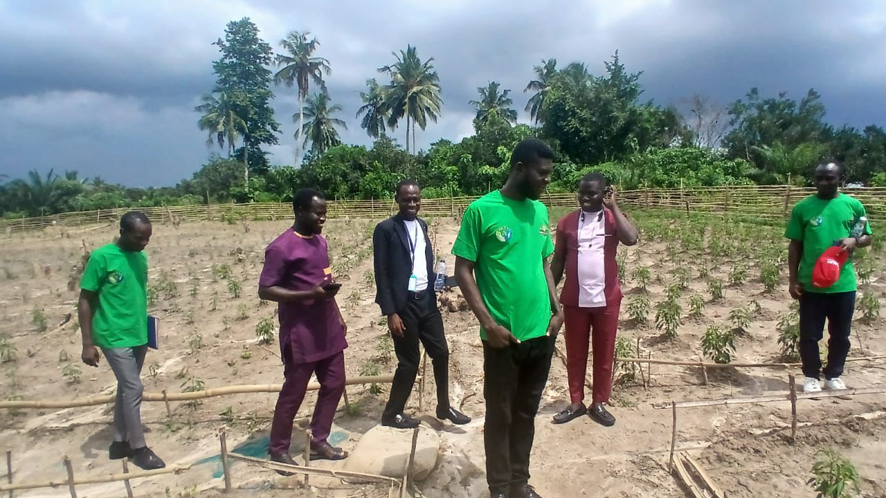 Feed Ghana programme photo 5